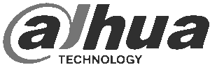 dahua